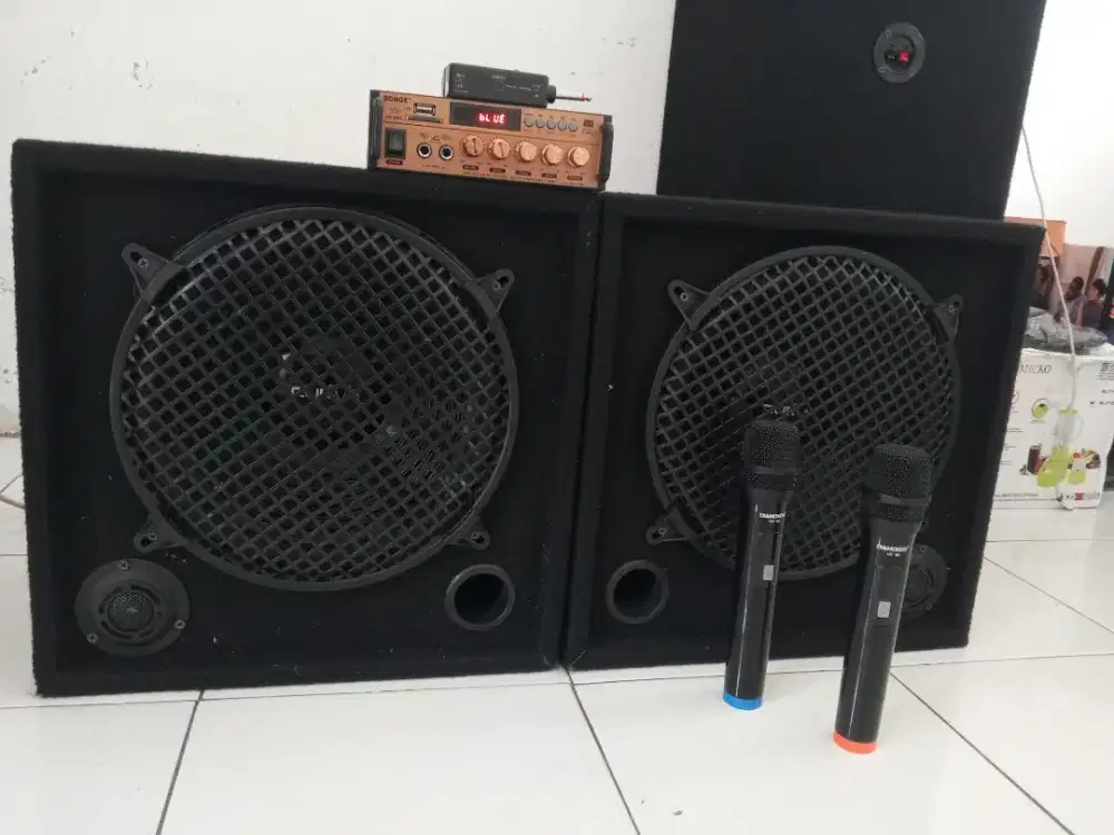 Paket home karaoke 12 in stereo wireless