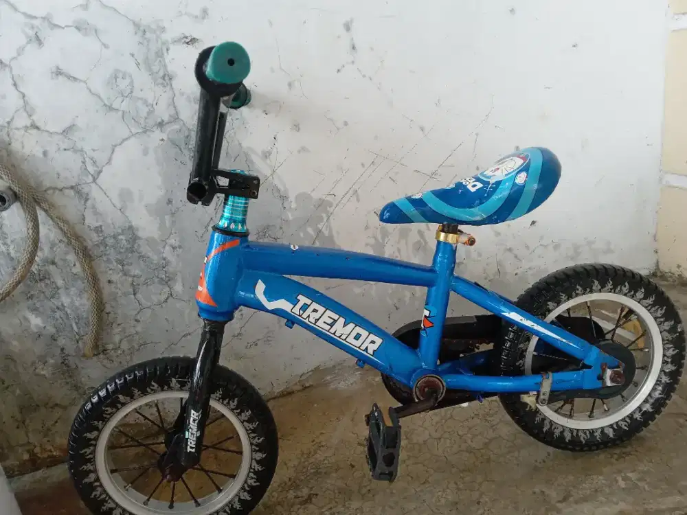 Jual sepeda anak murah aja gaes
