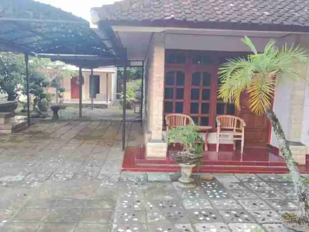 RUMAH PINGGIR JALAN ASPAL DAUHWARU LC JEMBRANA