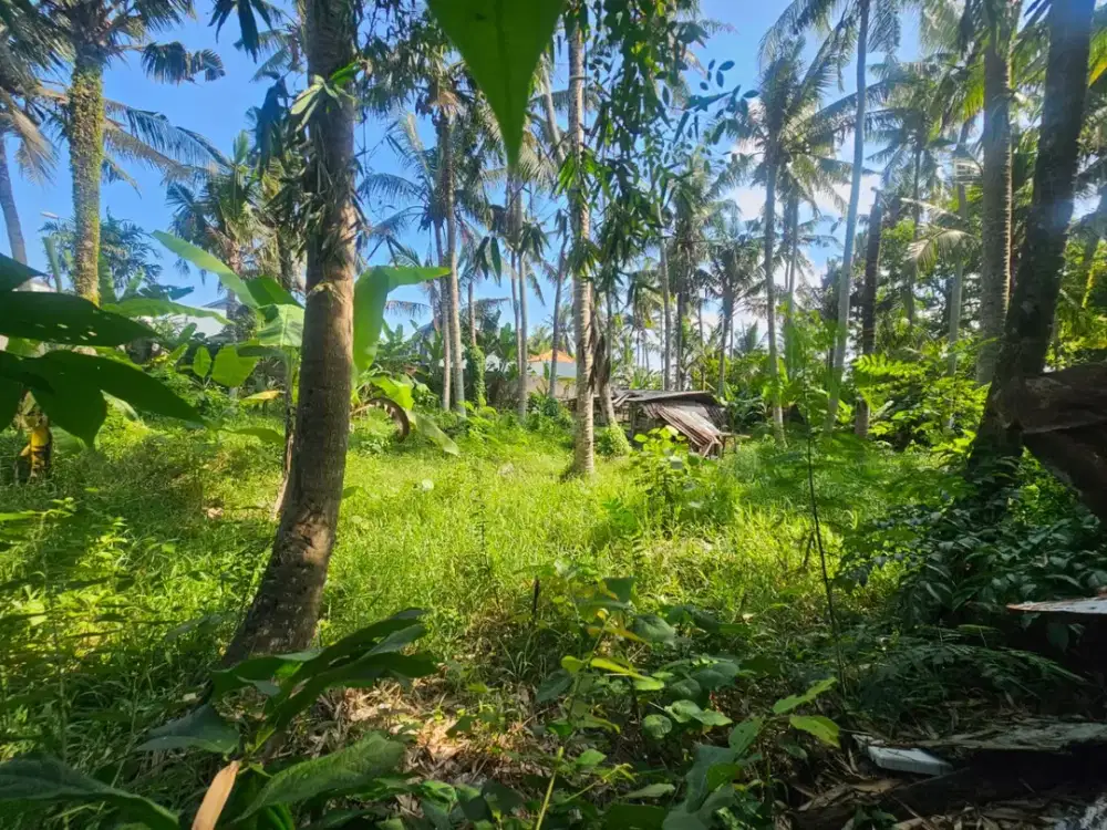 Dijual Tanah Strategis Dekat Ciputra Beach Resort Tabanan