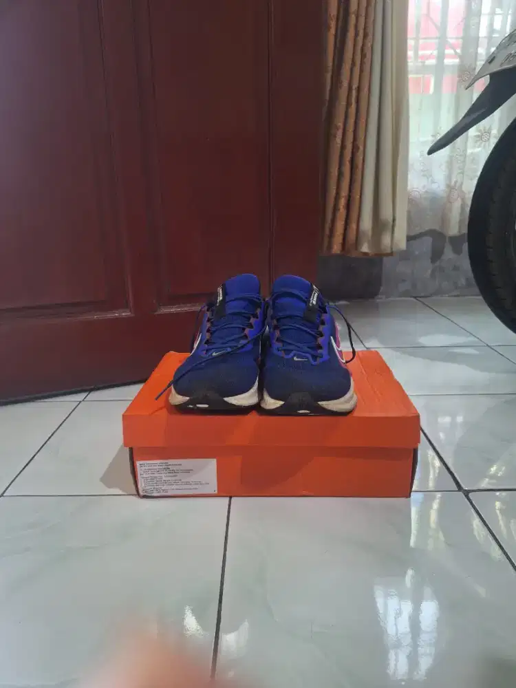Running Shoes Nike Downshifter 13 Biru Size 46