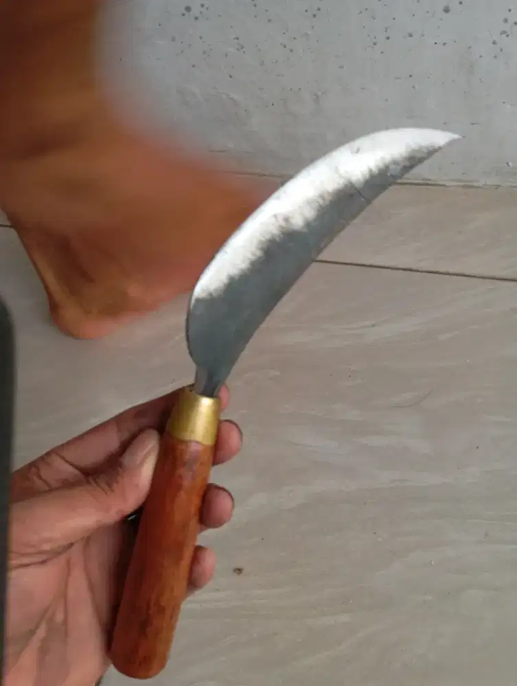 Pisau sisit tipe raut multiguna