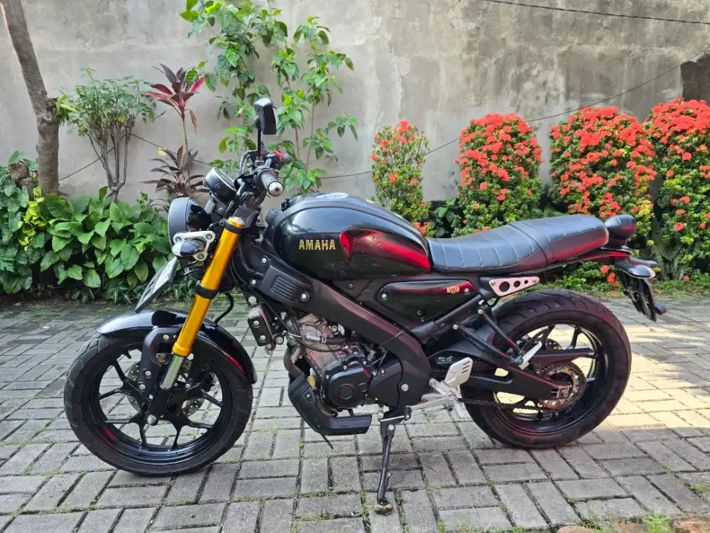 Yamaha XSR 155 MULUS
