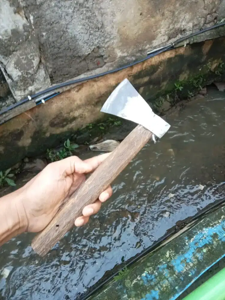 Kapak cacah tulang