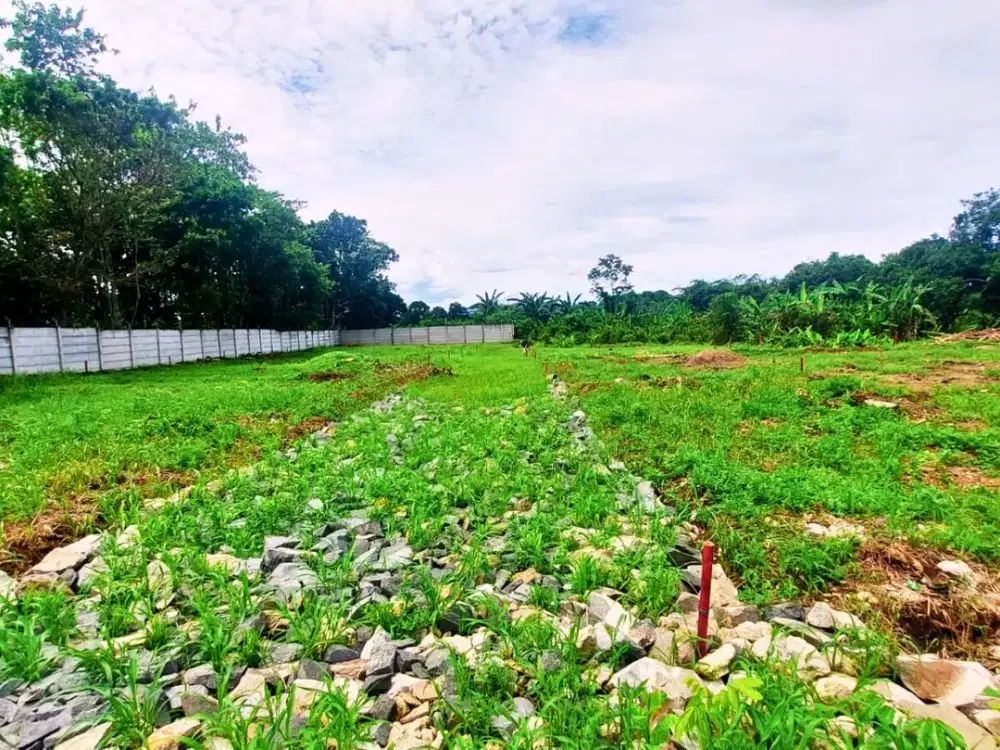 Tanah 1 Jt-an Cisauk Dekat HIERA BSD, SHM Terjamin