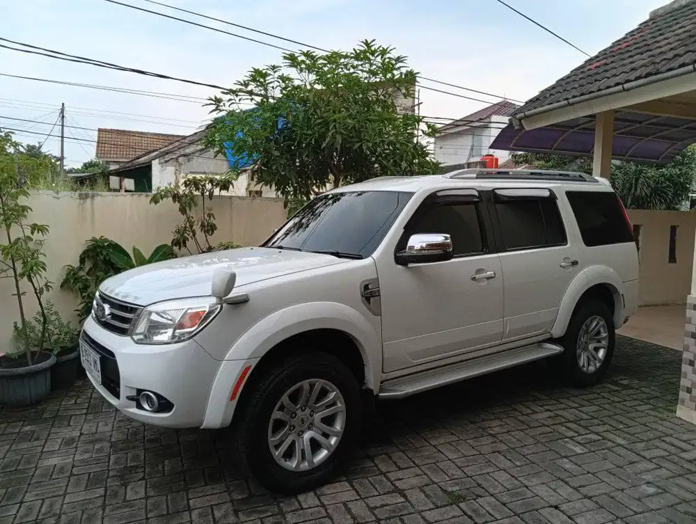 Ford Everest LIMITED istimewa Terawat