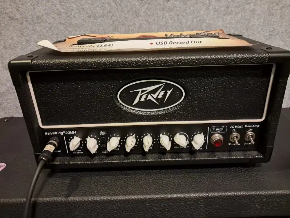 Ampli Peavey Valveking 20 MH Head Tube