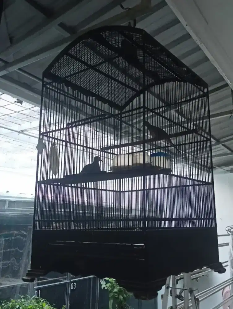 Sangkar kota kayu jati ukur 52 x 52 x 90