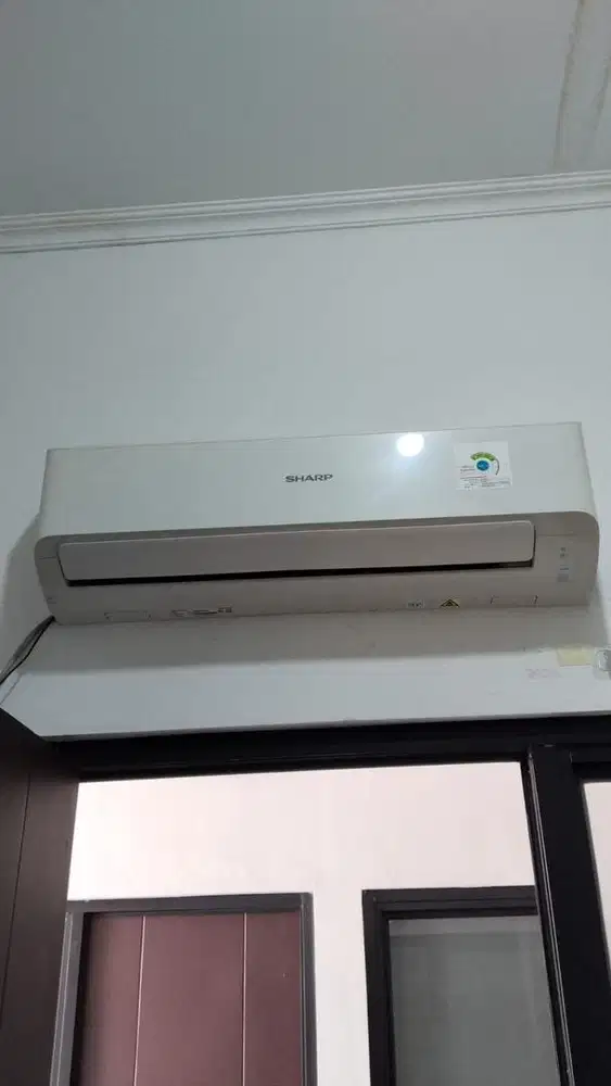 Ac sharp 1/2 Pk