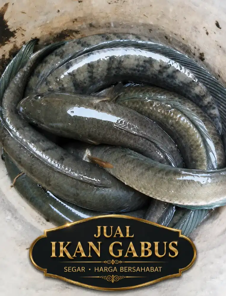 Layanan gabus konsumsi makanan paska operasi