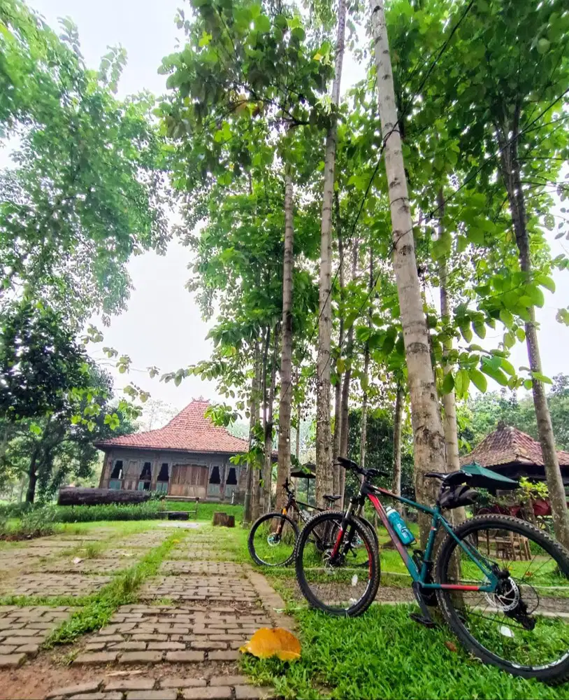SEPEDA MTB POLYGON CASCADE 4