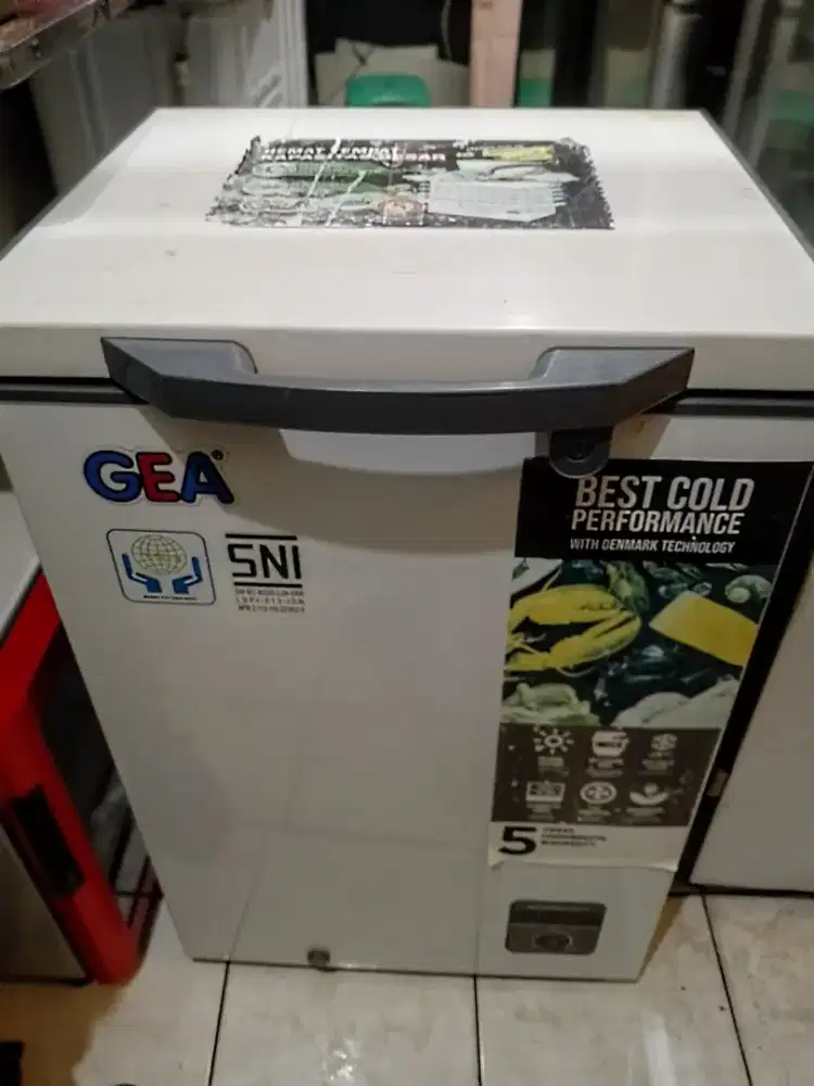 Freezer Box GEA 100 L