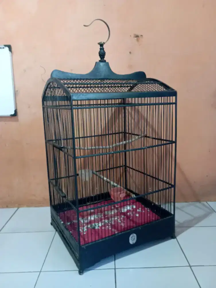 Kandang ebod no 1 buat burung kacer jalak kenari dll