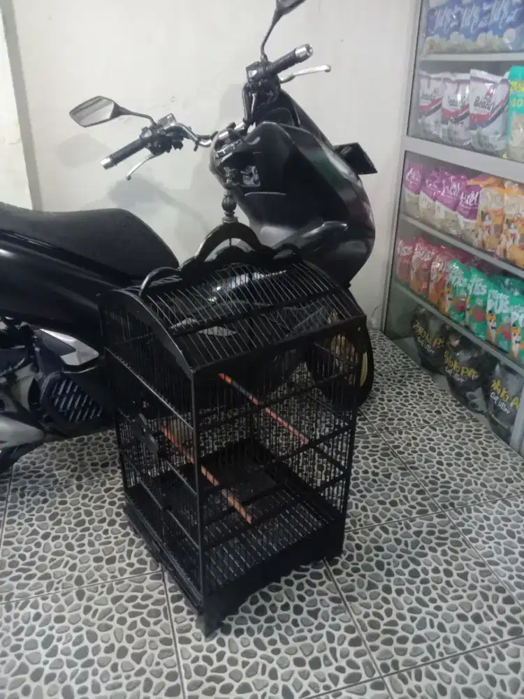 Kandang kotak no 1 kayu klasik 150 k pondok aren