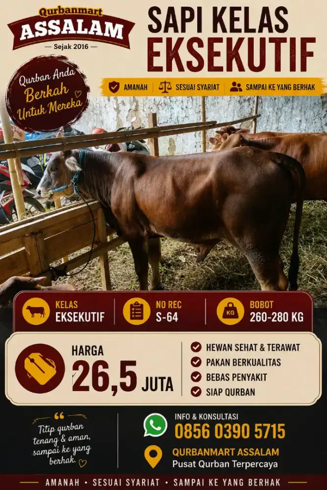 SAPI QURBAN UNTUK MESJID DAN INTANSI HARGA GROSIR LEBIH MURAH