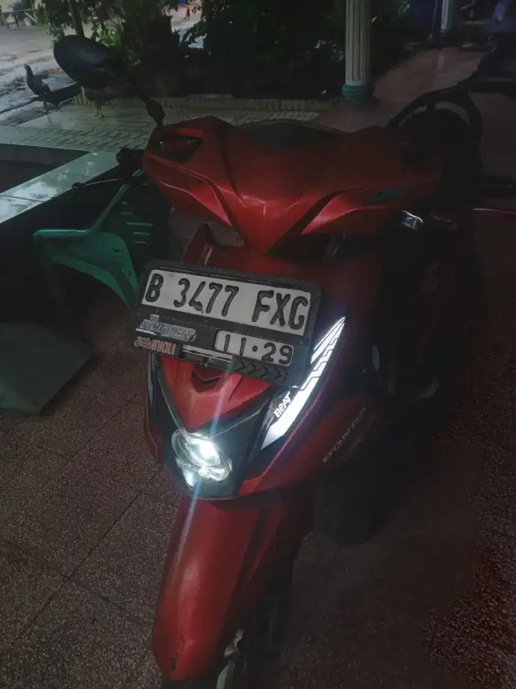Beat f1 pajek hidup