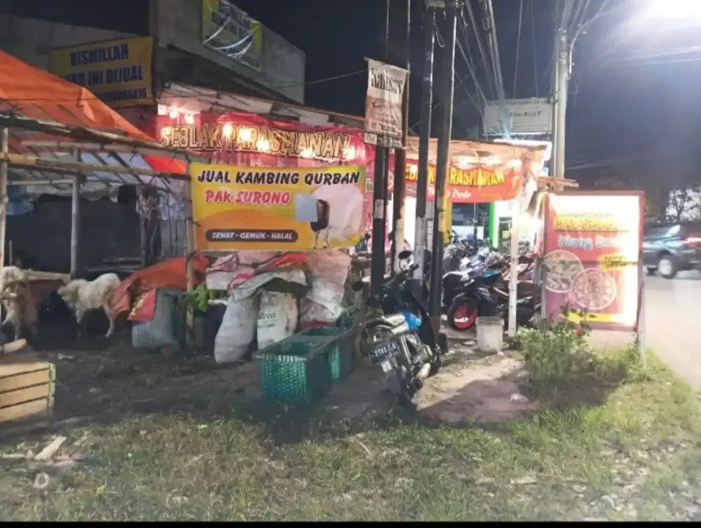 Jual Kambing Qurban