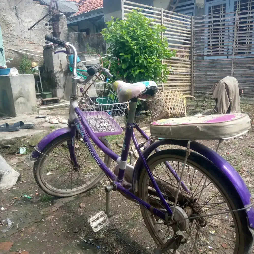 jual sepeda cewek