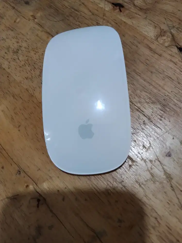 Apple magic mouse