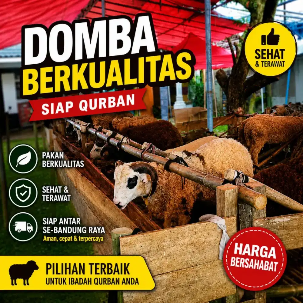 BELI DOMBA QURBAN BERKUALITAS