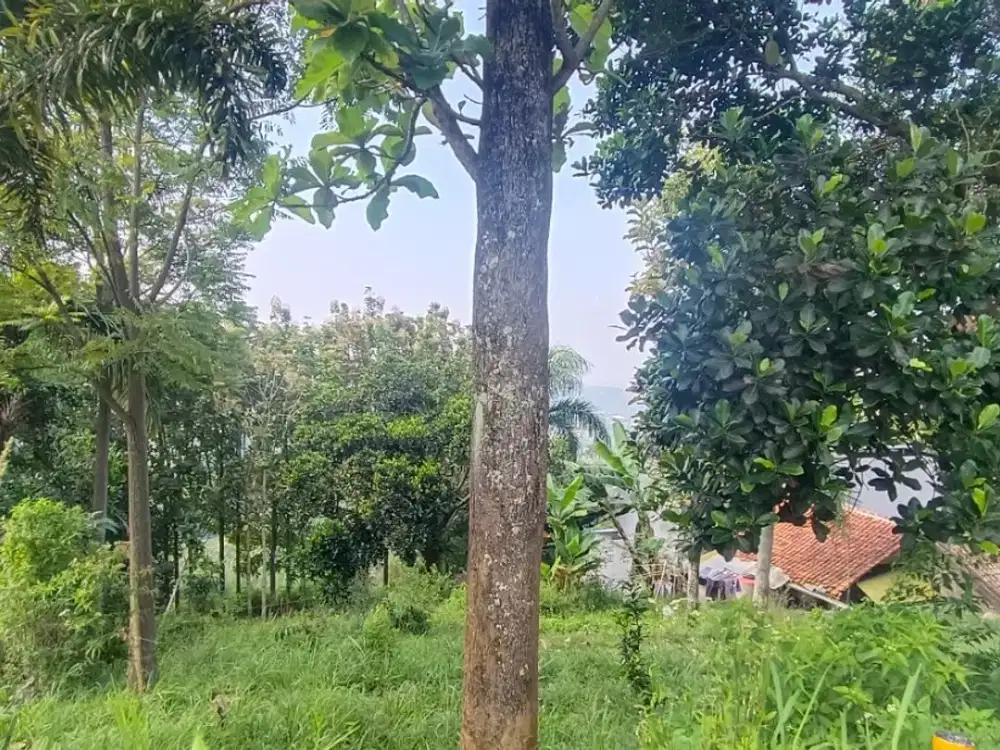 Tanah Punclut Lembang Bandung,Cocok untuk Villa/ Resto/ Glamping, Ada View