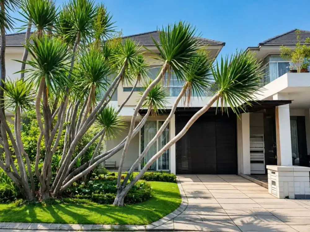 Rumah Malibu Beach, Palm Beach, Pakuwon City  MINIMALIS MURAH LANGKA FURNISH