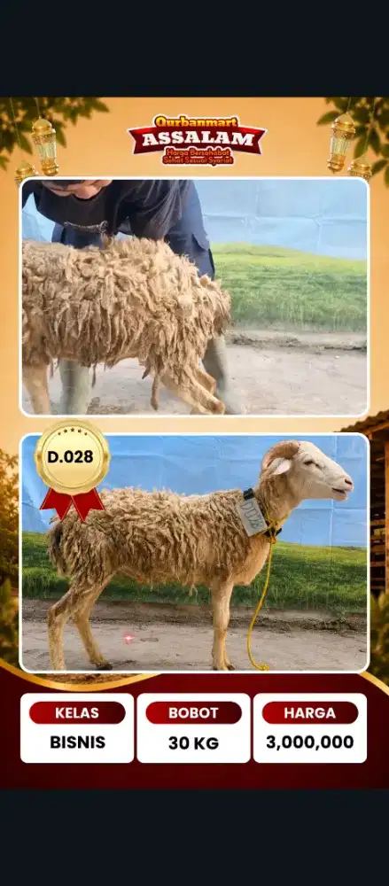 Bandung Berqurban 2026