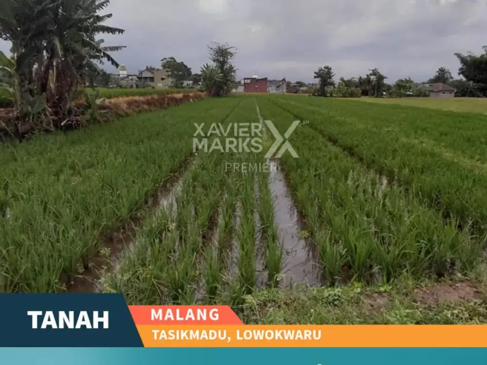 Dijual Tanah Kavling Akses Super Mudah di Tasikmadu Malang