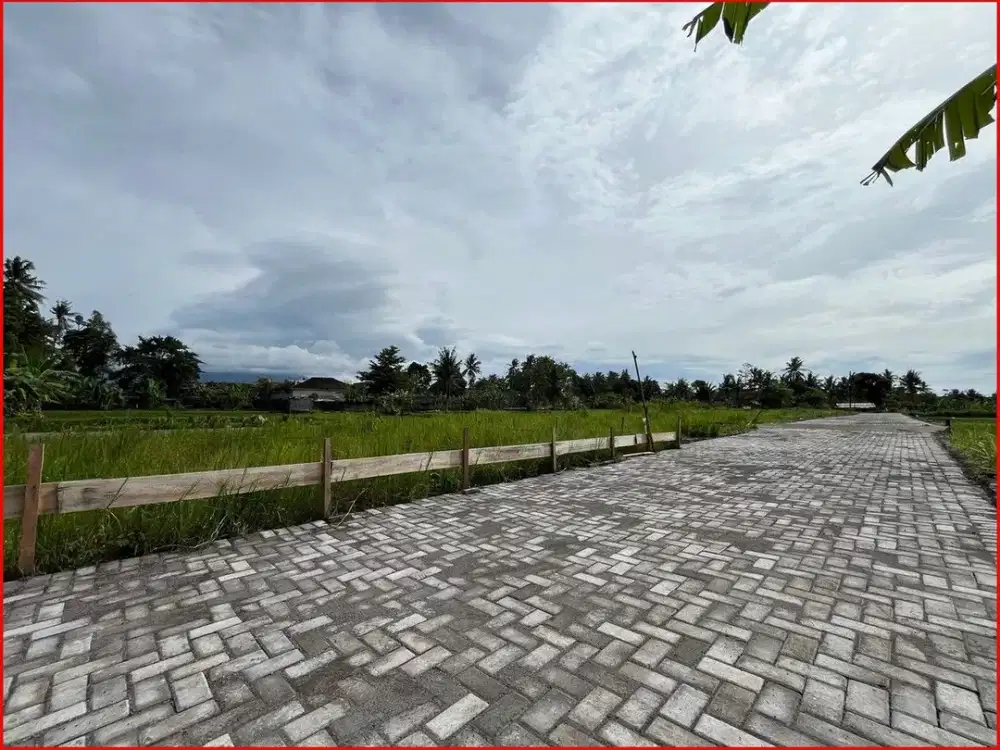 Tanah Dijual Yogyakarta Jl. Kembangan-Rejodani Dekat Jogja Eco Park