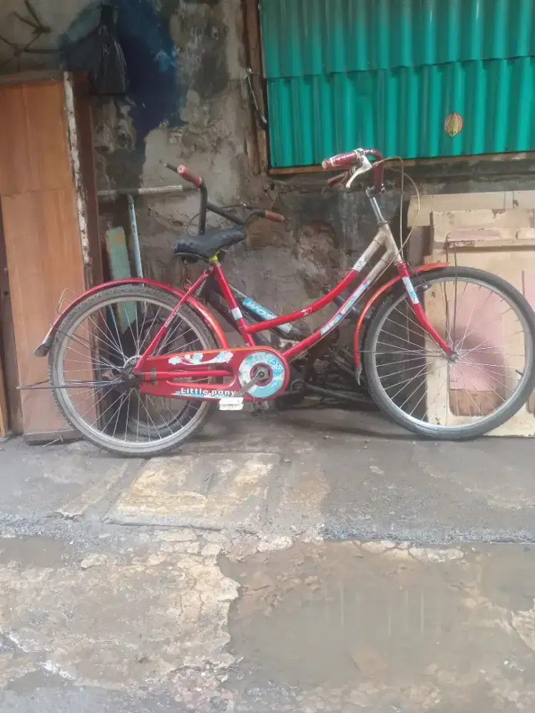 Sepeda dewasa siap pakai