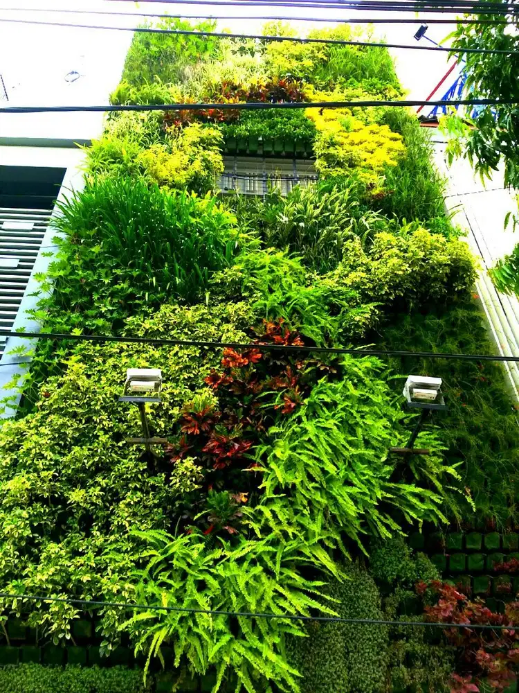 Green wall vertical garden surabaya