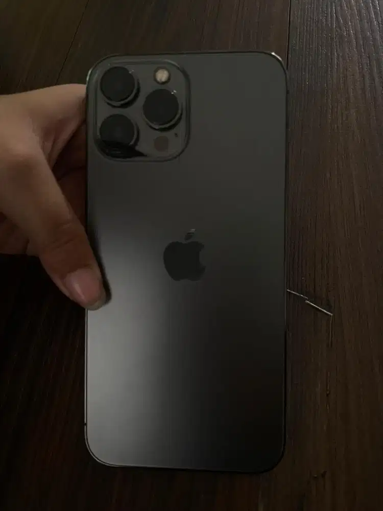 Iphone 13 pro max inter 256 gb