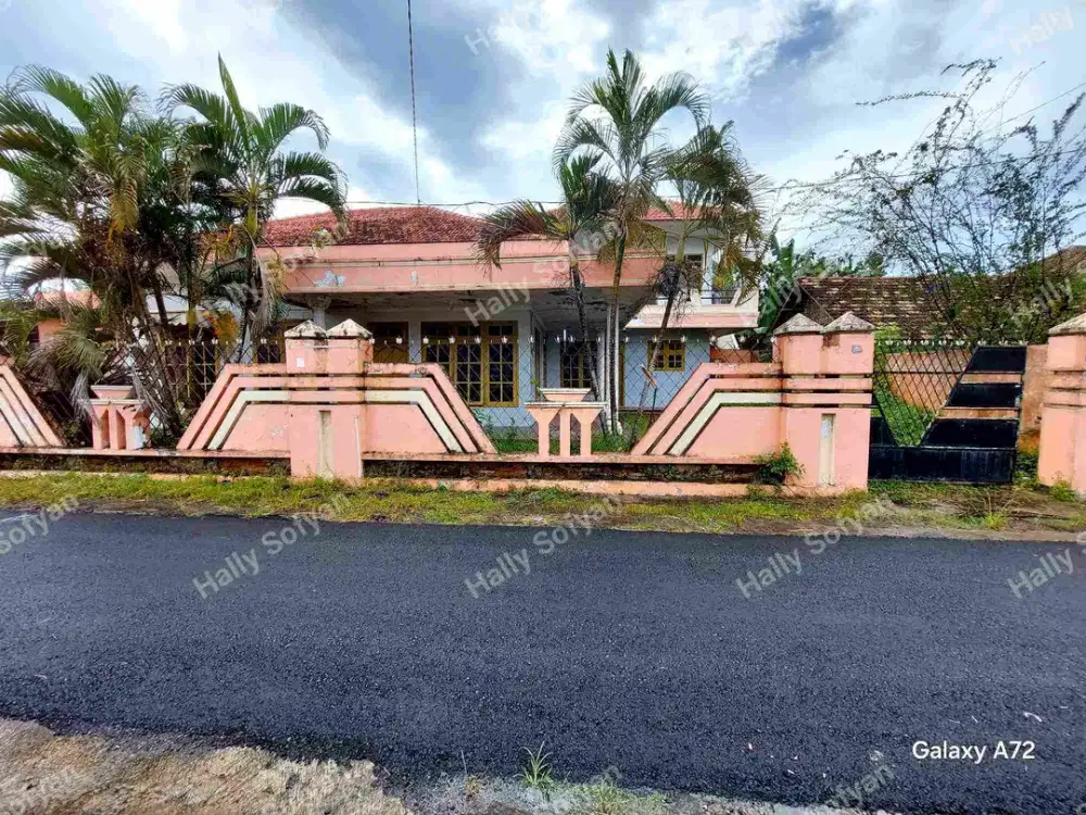 DiJual Murah Rumah Lama Hitung Tanah Di Dekat Pelabuhan Ketapang Banyuwangi