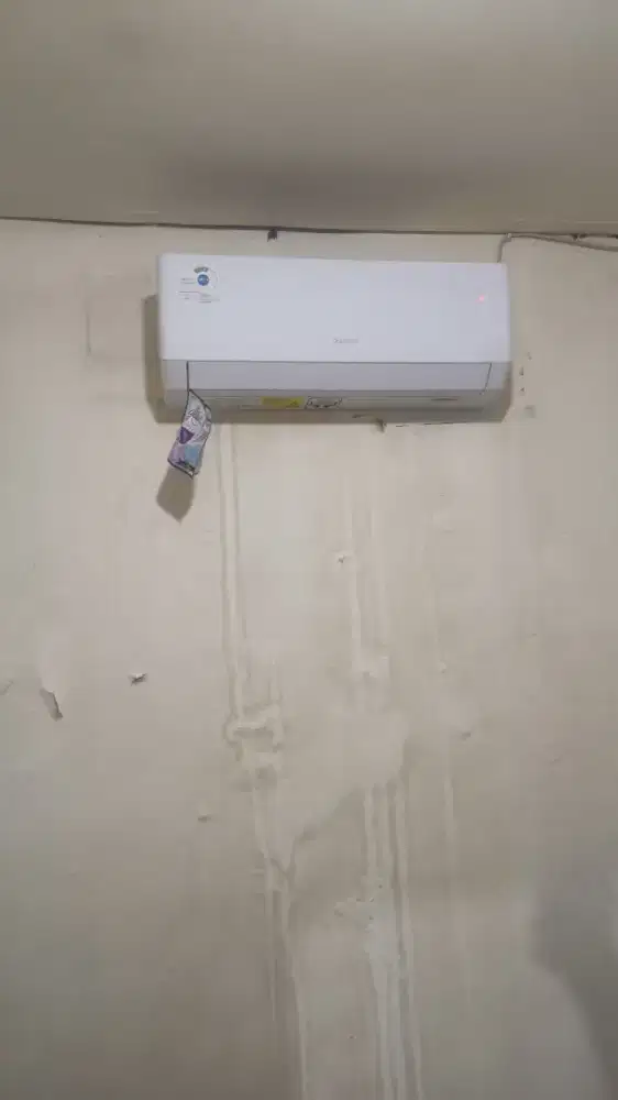 AC gree ½ PK no minus