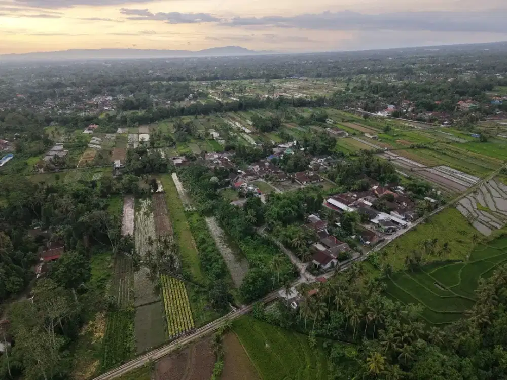 Tanah AJB Sleman Sejuk dan Lingkungan Nasionalis