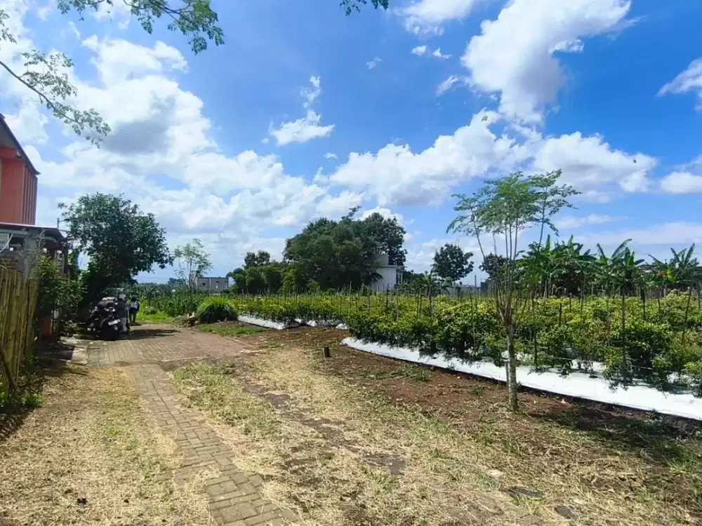 Tanah Siap Bangun Kota Malang 200 Juta an Strategis Kos Kos an