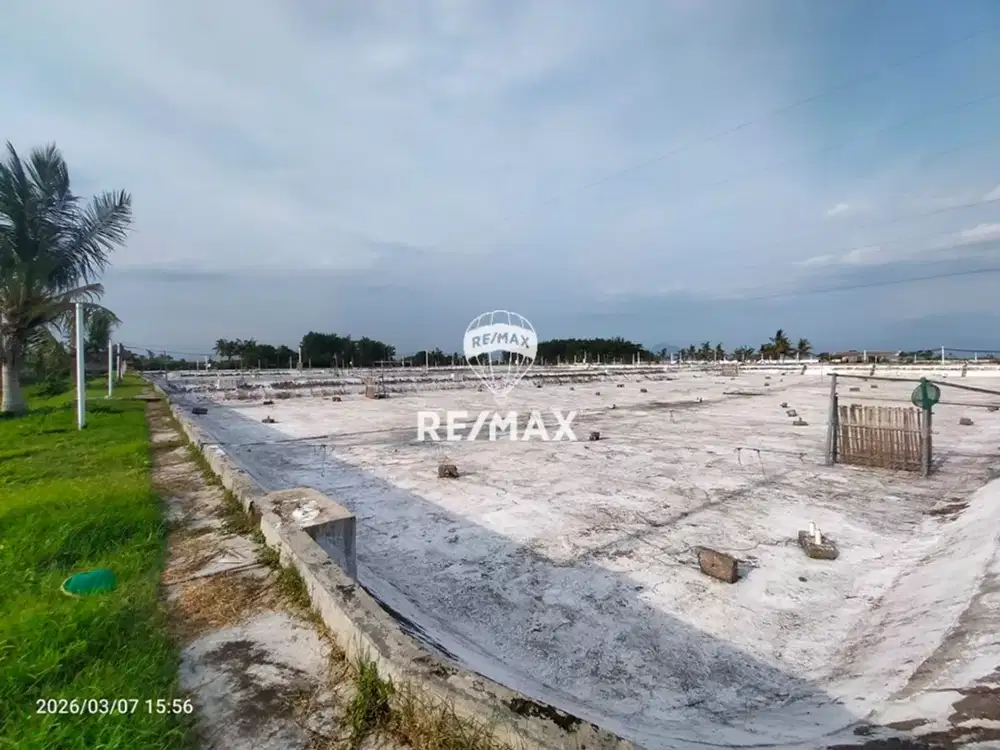 DIJUAL!! Lahan Tambak Badean,Kabat-Banyuwangi