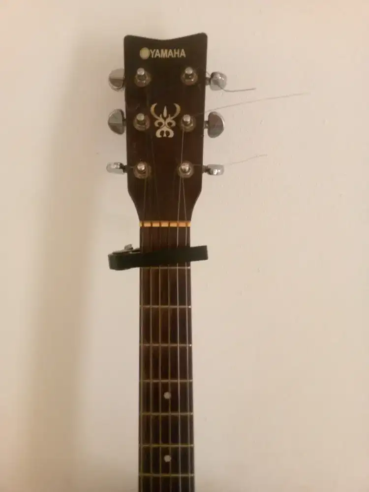 Gitar String Yamaha F350