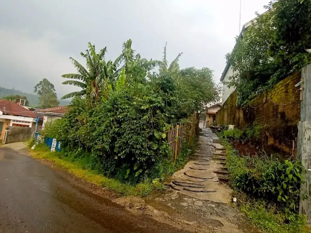 Dijual Cepat Tanah Pinggir Jalan, View Gunung Sejuk Cikole Lembang Bandung