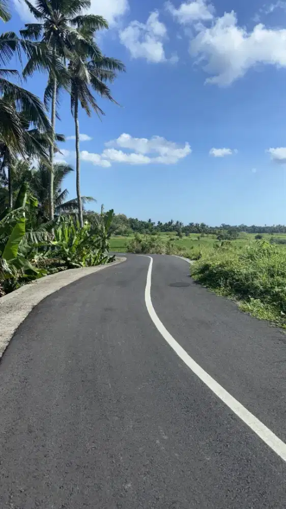 Jual Tanah di desa kerambitan Tabanan