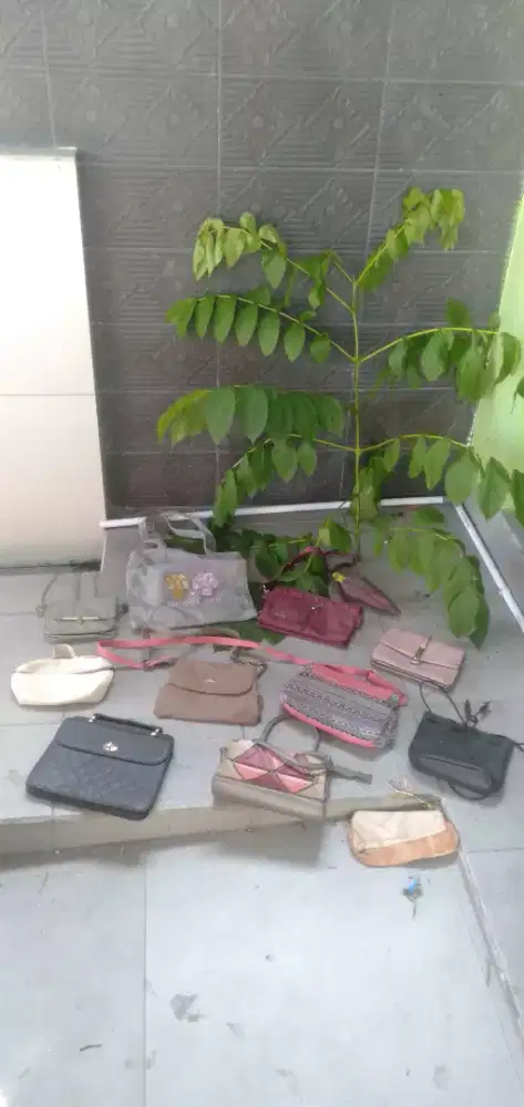 Di jual murah meriah aja wa dan hp no iklan ini yg cepat dia dapat