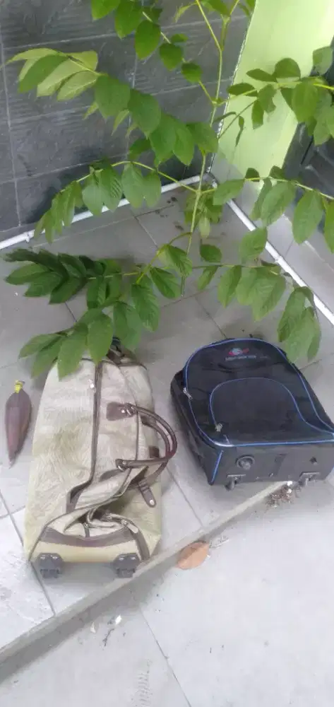 Di jual semua macam   tas jinjing,koper sandang punggung  dll wa ,hp