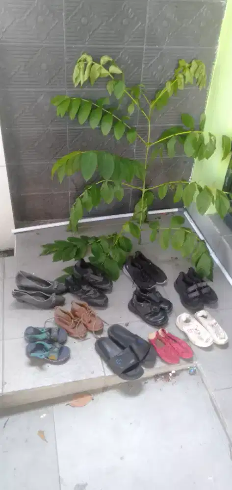 Di jual sepatu,sendal dll untuk cow ,cew dll murah meriah aja buruan