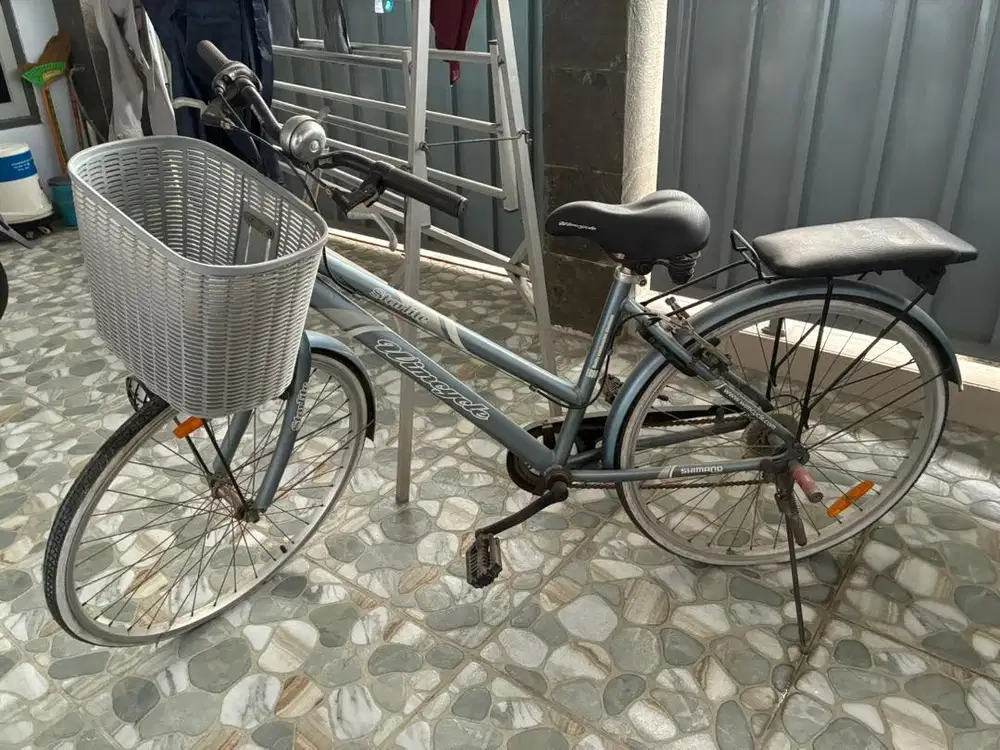 Sepeda Wimcycle Starlite