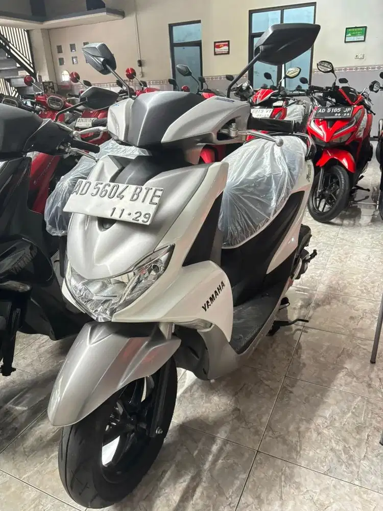 FREEGO TAHUN 2019