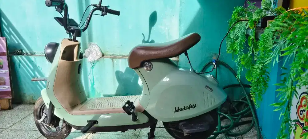 SEPEDA LISTRIK Bekas ( Uwinfly)
