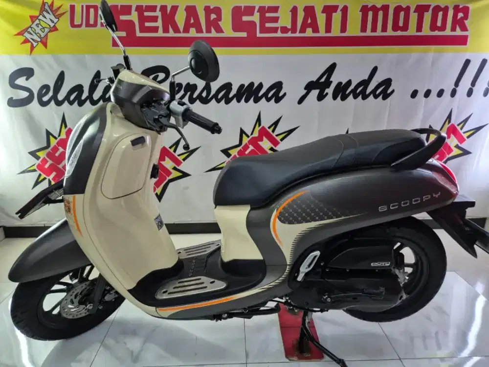 New Scoopy stylish 2024 plat L jooss
