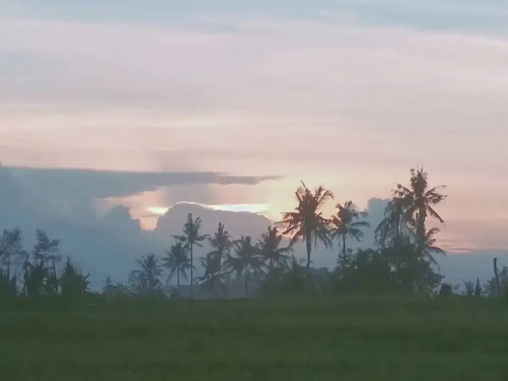 Dijual Tanah Desa Seminyak Bali Lokasi Premium Strategis Dekat Pantai