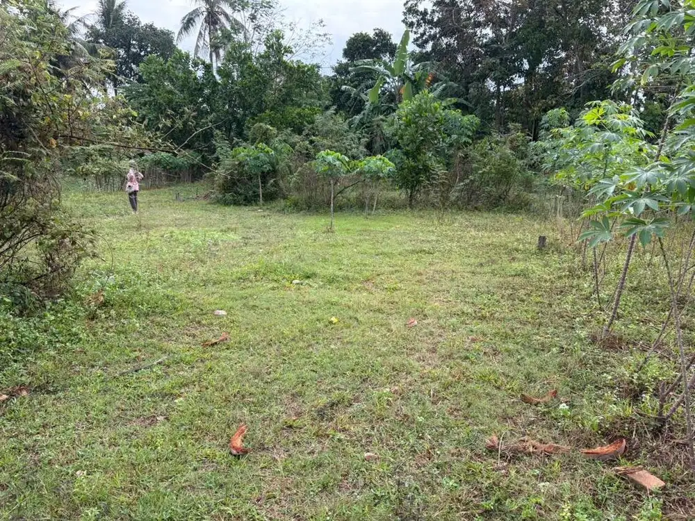 Tanah Kavlingan