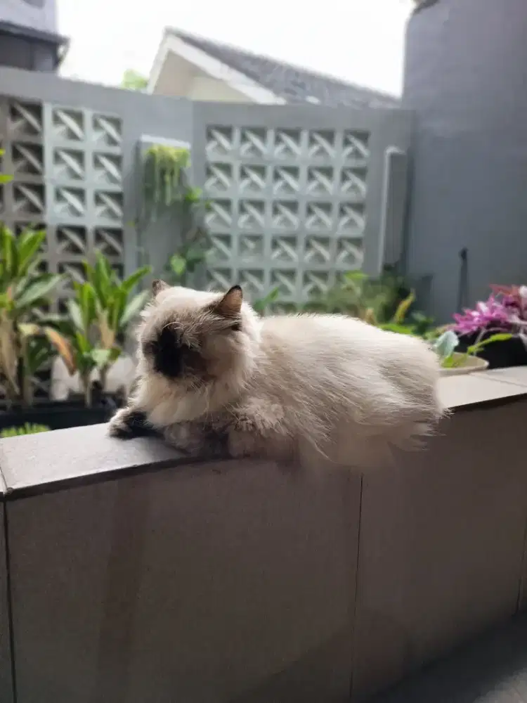 Rumah di cihanjuang lokasi stategis deket pemkot kota cimahi